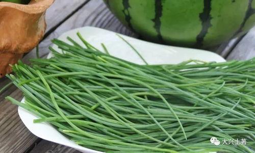 近期热门吃瓜网红是谁,揭秘近期热门吃瓜网红