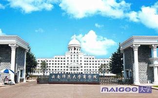 热门大瓜云南商学院,揭秘校园风云，探寻热门大瓜背后的真相