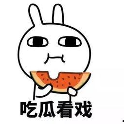 吃瓜我要上热门,成为网络红人！