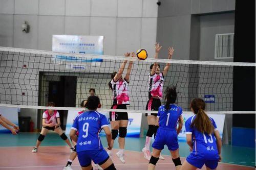 五一吃瓜今日吃瓜热门大瓜王梦洁,揭秘热门大瓜背后的故事