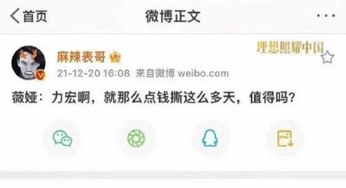 爆料吃瓜娱乐圈百度网盘,吃瓜群众齐聚百度网盘，揭秘明星幕后故事
