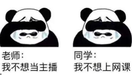 吃瓜热门问题,探寻娱乐圈背后的真相与八卦