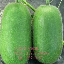 热门瓜报,热门瓜报大汇总