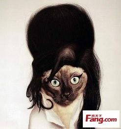 肚子疼明星网红,揭秘网红界的“疼痛传奇”