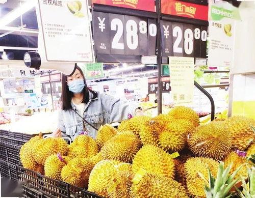 成都三月瓜今日价格,价格行情一览”