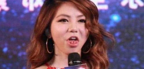 明星网红唱法有哪些,风格各异，魅力无限