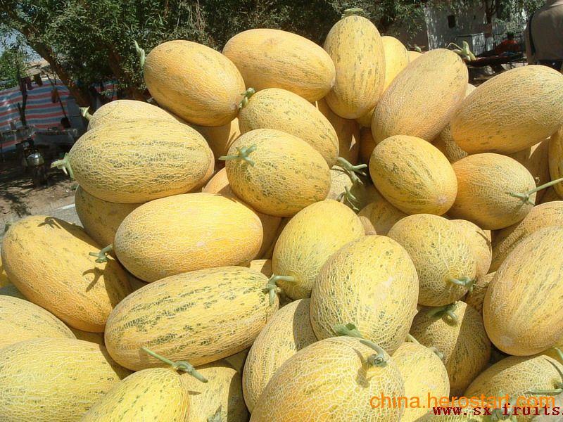8.17哈密瓜价格今日价,今日行情一览”