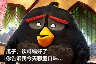 黑木炭瓜娃子可以吃吗