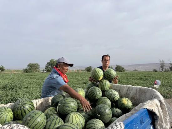 吃瓜爆料一区二区三区
