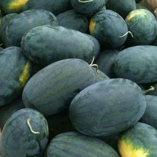 水瓜表面有黑块可以吃吗,揭秘表面黑斑的安全性