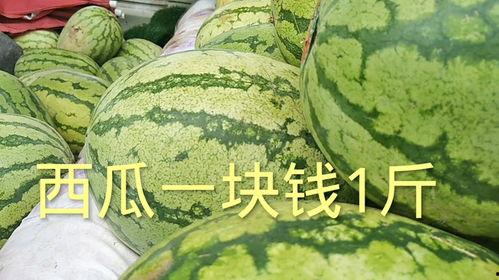 今日瓜价多少一斤,一斤几何？探秘瓜市行情