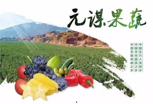 元谋蔬菜小瓜价格今日价,今日元谋蔬菜小瓜价格行情一览