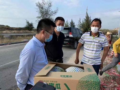 佛罗哈密瓜价格今日,“今日佛罗哈密瓜价格波动解析”