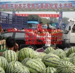 开封今日瓜价行情查询最新,今日瓜价一览，新鲜资讯速递”