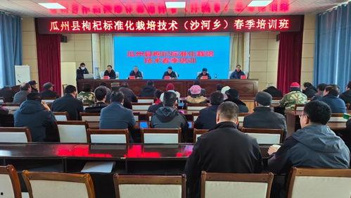 瓜州农技中心今日新闻,助力农业发展，共筑丰收梦想