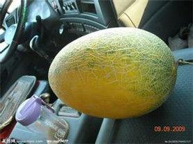 哈密瓜产地今日价格查询,产地行情一览