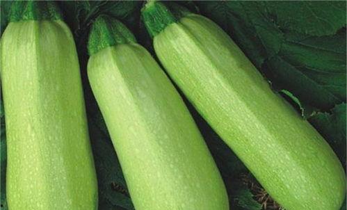 推荐一些热门的吃瓜群,网络热议背后的精彩瞬间