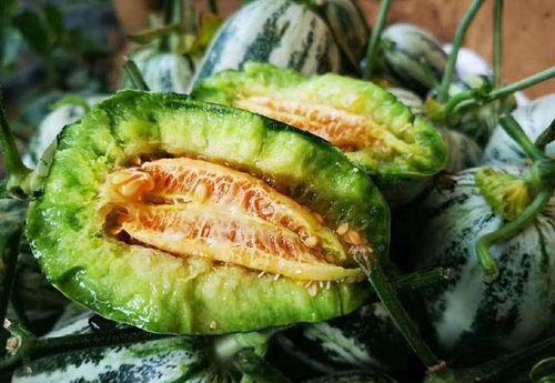 山东吃瓜爆料事件真相是真的吗