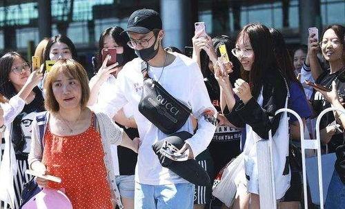 明星网红游乐园,明星同款游乐园魅力揭秘