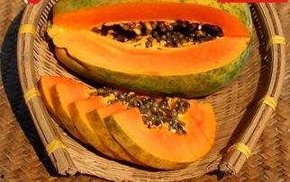 吃瓜网免费吃瓜黑入口,畅享海量瓜子的秘密通道