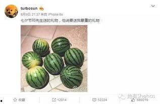 最新91黑料吃瓜重口在线,重口味吃瓜盛宴，带你领略网络暗流涌动