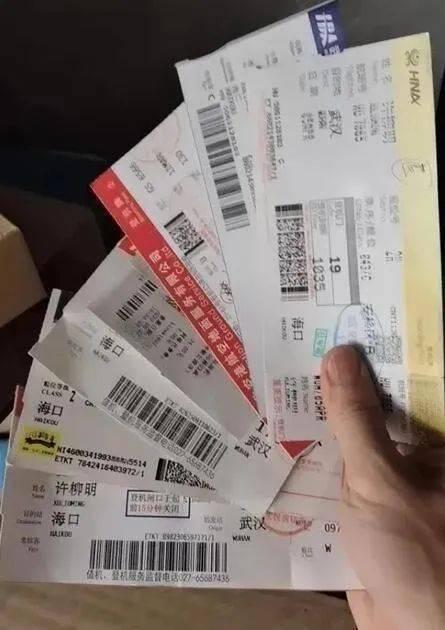 热点事件 今日吃瓜金乡花,今日吃瓜，揭秘网络热点背后的真相