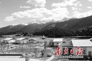 鲁朗明星网红店,探寻藏地美食的璀璨明珠