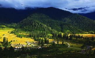 鲁朗明星网红店,探寻藏地美食的璀璨明珠