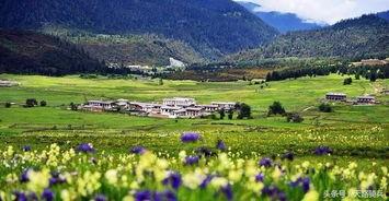 鲁朗明星网红店,探寻藏地美食的璀璨明珠