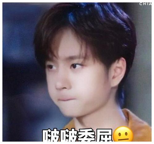 王一博今日吃瓜视频,揭秘娱乐圈幕后真相