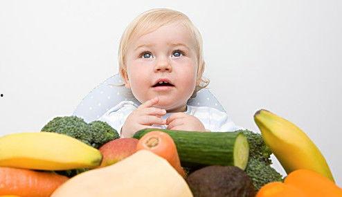 11个月宝宝可以吃黑瓜,黑瓜营养食谱分享