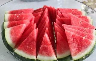 51黑瓜吃料网干什么的,专业食材信息平台深度解析