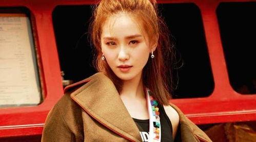 东北有名的明星网红