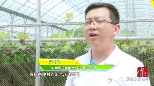 华州瓜坡今日头条,最新动态一览无余