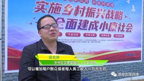 华州瓜坡今日头条,最新动态一览无余