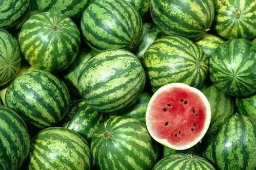 吃黑瓜会不会流口水多呢,揭秘吃黑瓜是否会引发口水泛滥