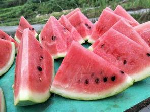 吃黑瓜会不会流口水多呢,揭秘吃黑瓜是否会引发口水泛滥