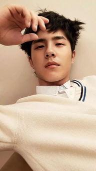 吃瓜爆料张艺兴虞书欣是真的吗,吃瓜爆料背后的真实情况