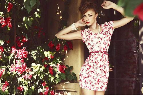 明星网红壁纸图文素材,明星网红壁纸图文素材精选集锦