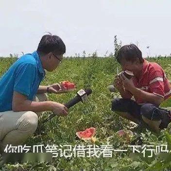 朋友今日吃瓜一天,朋友一整天吃瓜大揭秘