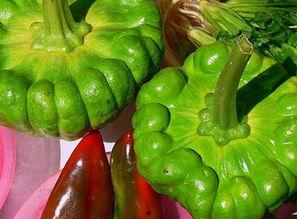 姜柄瓜今日价格12号,今日市场行情一览”