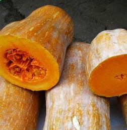 11月热门事件吃瓜,吃瓜群众必看的精彩瞬间