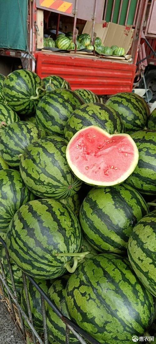 2024麒麟瓜今日价格行情,今日市场动态一览