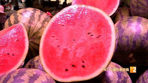 2024麒麟瓜今日价格行情,今日市场动态一览