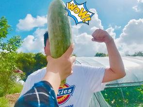 今日吃瓜热门大瓜网红黑料91,91号热门大瓜揭秘