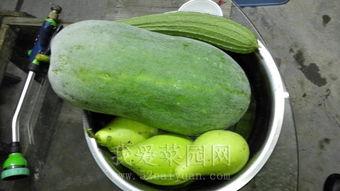 今日吃瓜热门大瓜网红黑料91,91号热门大瓜揭秘