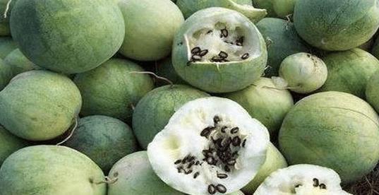 黑瓜吃料网怎么没了,揭秘网络平台陨落背后的真相