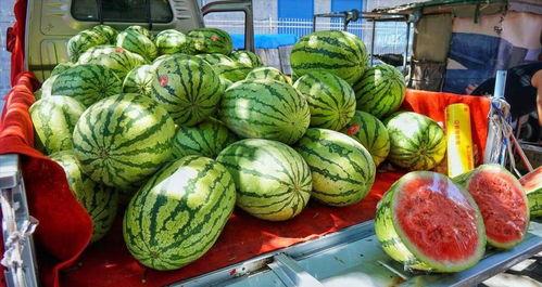 朝阳热门吃瓜事件真相,真相背后的惊人内幕