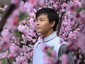 明星网红捐款抗疫,明星网红携手捐款抗疫纪实