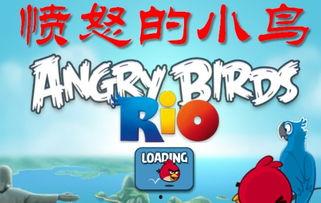 飞瓜热门音乐推荐大全免费